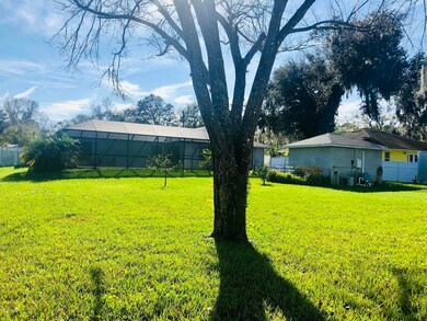 3 Backyard