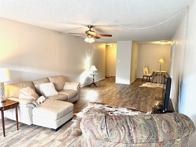Living room from opposite corner