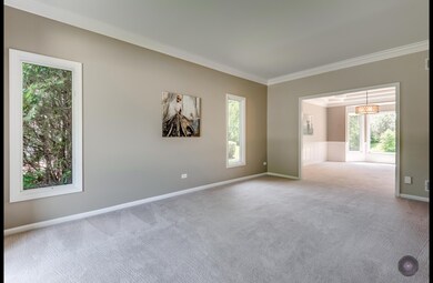 1612 Robert Ln, Naperville, IL 60564 - photo 6