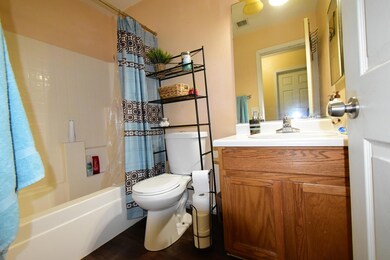 Hall Bathroom