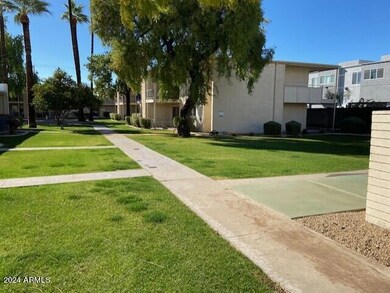 4374 N 36th St unit 23, Phoenix, AZ 85018 - photo 5