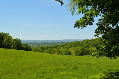 DSC_0029 (2)