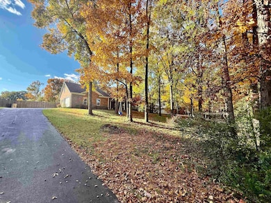 2620 Tomlin Rd, Somerville, TN 38068 - photo 4