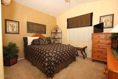 Guest Bed Downstairs