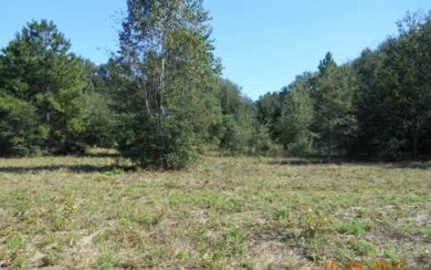 135 SW Regiment Place, Lake City, FL 32024 - photo 4