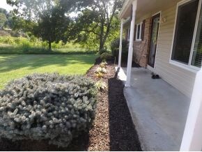 More landscaping views