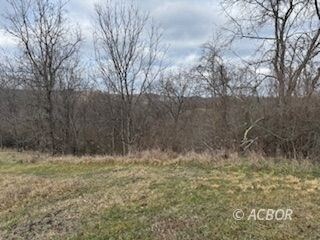 15750 Bryson Rd, Millfield, OH 45761 - photo 5