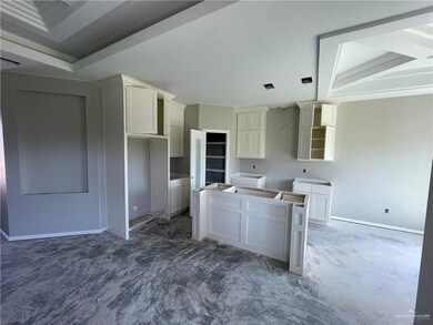 819 Hawk St, Alamo, TX 78516 - photo 5