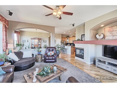 14379 Fillmore St, Thornton, CO 80602 - photo 3