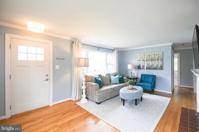 3107 Collard St, Alexandria, VA 22306 - photo 4