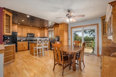 N3732 690th St, Ellsworth, WI 54011 - photo 3