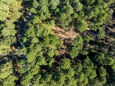 0 Pintail Lot 7, Flint, TX 75762 - photo 6