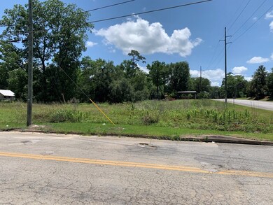 820 N Broad St, Thomasville, GA 31792 - photo 4