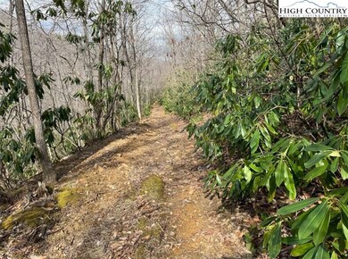 82+/- Acres Doublehead Mountain Rd, Newland, NC 28657 - photo 5