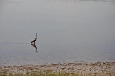 12 Circuit Ave, Wareham, MA 02571 - photo 5