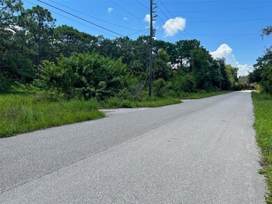 18904 Craig Loop, Hudson, FL 34667 - photo 4