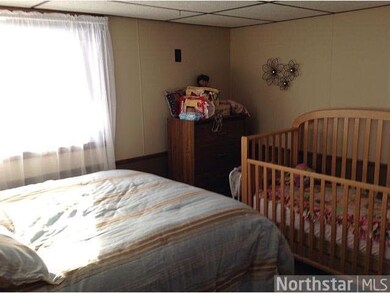 29057 250th St, Long Prairie, MN 56347 - photo 6