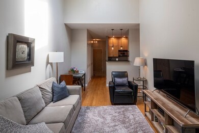 The Basilica unit 209, Charlestown, MA 02129 - photo 4