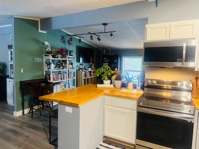 315 Elm St, East Jordan, MI 49727 - photo 4