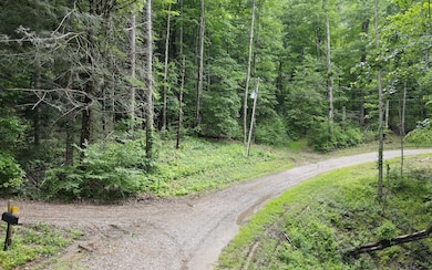 TR 2 Cindy Cove Rd, Blairsville, GA 30511 - photo 3