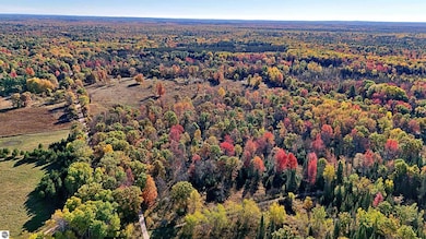 0 Twin Lake Rd, Middle Branch Township, MI 49665 - photo 7