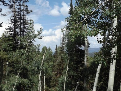 449 W Ski View Dr unit 3, Brian Head, UT 84719 - photo 7