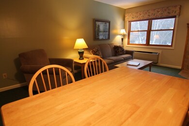 164 Deer Park Dr unit 166D, Woodstock, NH 03262 - photo 7