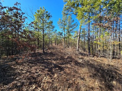 2 Tbd Summerfield Oklahoma, Summerfield, OK 74966 - photo 7