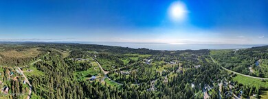 Aerial Showing Cook Inlet
