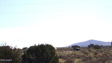 4620 S First Ave, Valle, AZ 86046 - photo 4