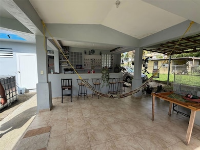 9 Mercedes Hernández, Aibonito, PR 00705 - photo 5