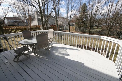 deck and yard