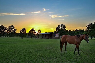 32011 Park Meadow Pass, Magnolia, TX 77355 - photo 2