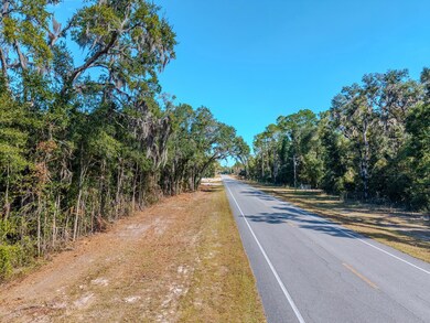 0 NE Highway 351, Old Town, FL 32680 - photo 3