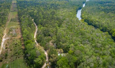 lot 3 Rio Paz Trace, Crawfordville, FL 32327 - photo 7