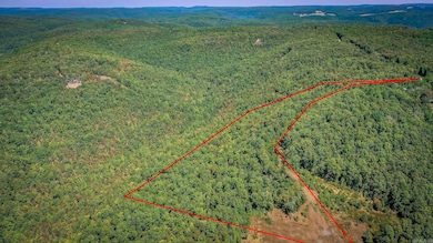 0 Porter Rd unit 25034698, Union Township, AR 72153 - photo 7