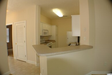 911 Algonquin Dr unit D, Pawleys Island, SC 29585 - photo 3
