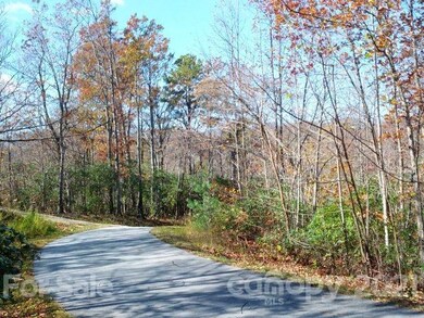 C-11 Looking down Berry Lane from entrance