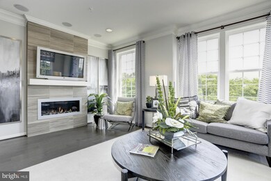 7205 Barry Ln, Elkridge, MD 21075 - photo 6