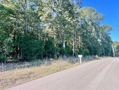 0 Melvin Qualls Rd, Michie, TN 38357 - photo 3