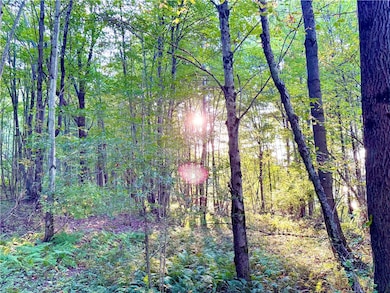 0 Campbell Rd, Franklin, NY 13775 - photo 5