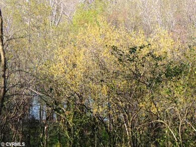 View - View of James River from back yard
