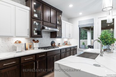 11922 Lofted Bloom, Schertz, TX 78154 - photo 4