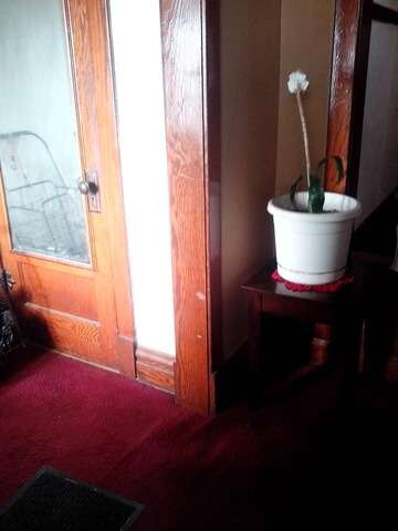 2655 N Kimball Ave, Chicago, IL 60647 - photo 6