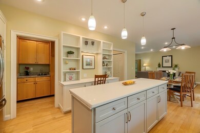 111 Old County Rd, Lincoln, MA 01773 - photo 5