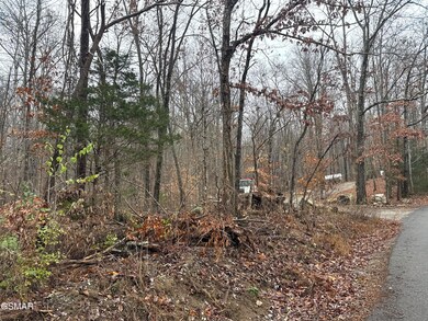 0 Collier Loop unit 309318, Dandridge, TN 37725 - photo 3