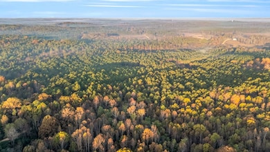 0000 Mount Carmel Rd, Millport, AL 35586 - photo 5