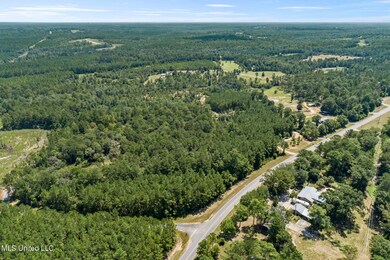 2140 Central Firetower Rd, Lucedale, MS 39452 - photo 7