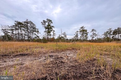 Lot 685 Bradley Ln, Chincoteague, VA 23336 - photo 4