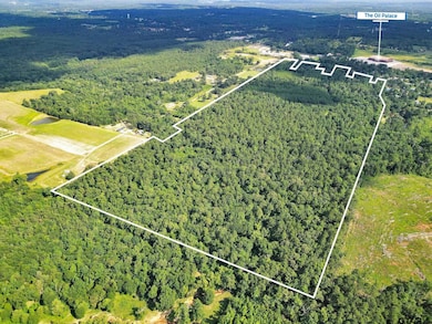 10114 C R 272, Tyler, TX 75707 - photo 3